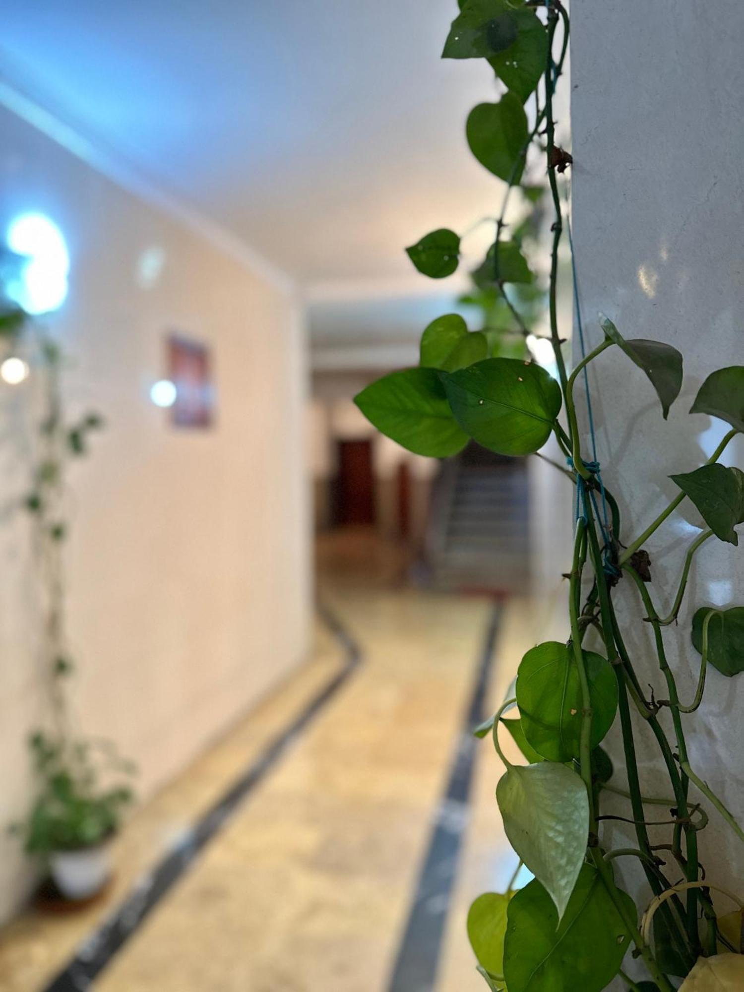 Casa Central Тетуан Экстерьер фото